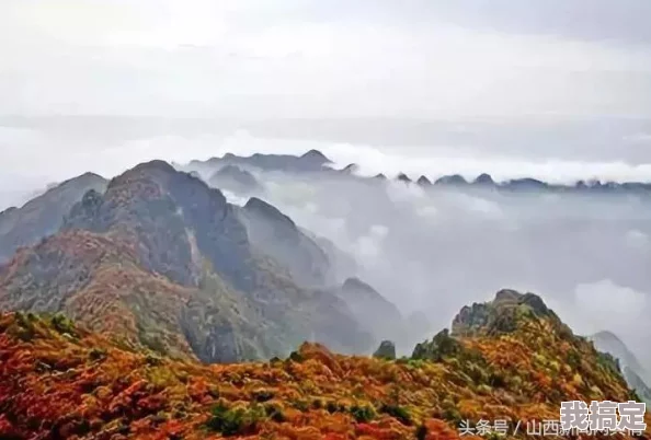 亚洲天堂久久为何操作简单方便快捷界面简洁清晰备受用户青睐所以受欢迎