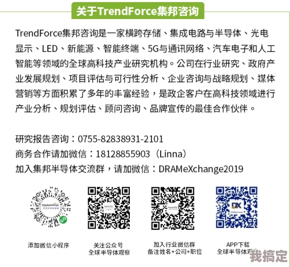 绝区零邦布券新功能爆料：最新用途与价值深度分析探索